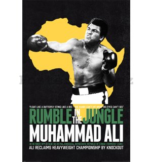 Plakát - Muhammad Ali (Rumble In The Jungle)