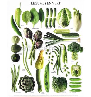 Green Vegetables - 24x30cm